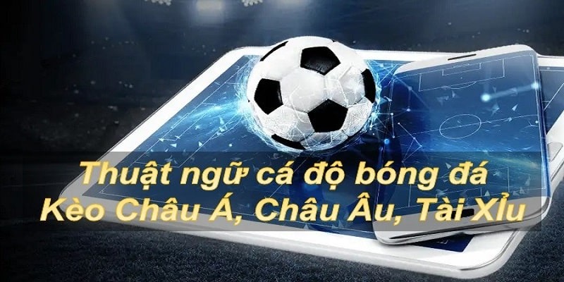 Một số loại kèo cược phổ biến mà cược thủ thường xuyên tham gia